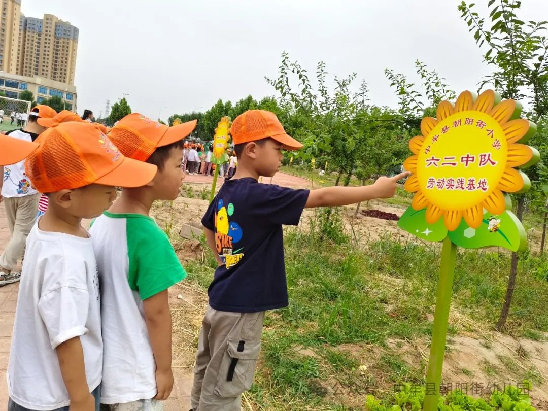 小学“慧”感知,衔接育成长——中牟县朝阳街幼儿园参观小学活动 第53张