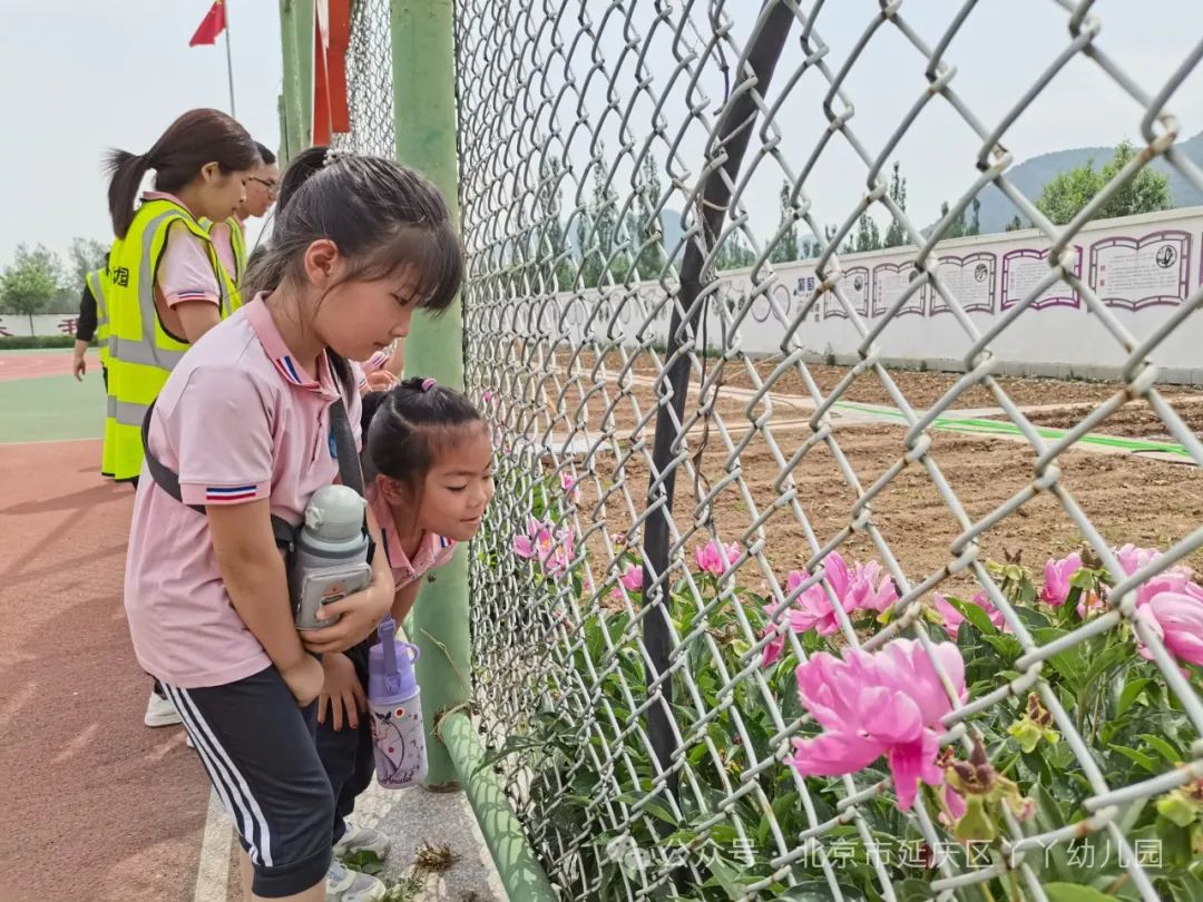 【幼小衔接】“小学初体验·衔接零距离”——丫丫幼儿园大班参观小学活动 第26张