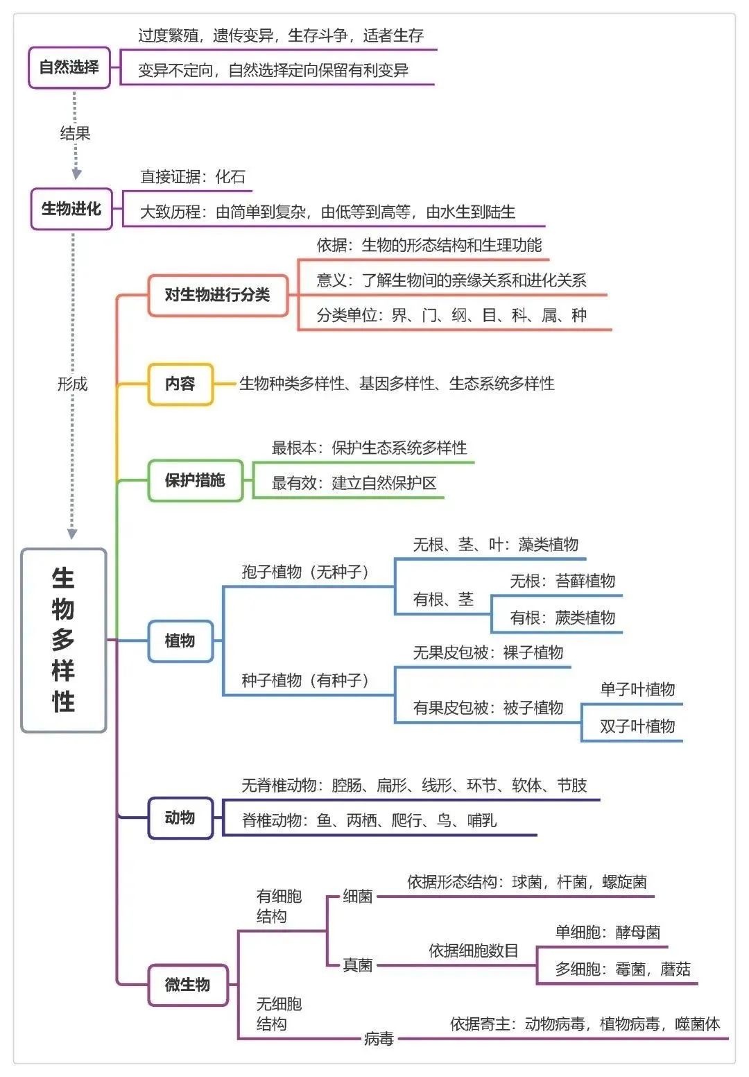 2025年中考地理、生物计入录取总分!地生如何学习考试能得高分? 第12张