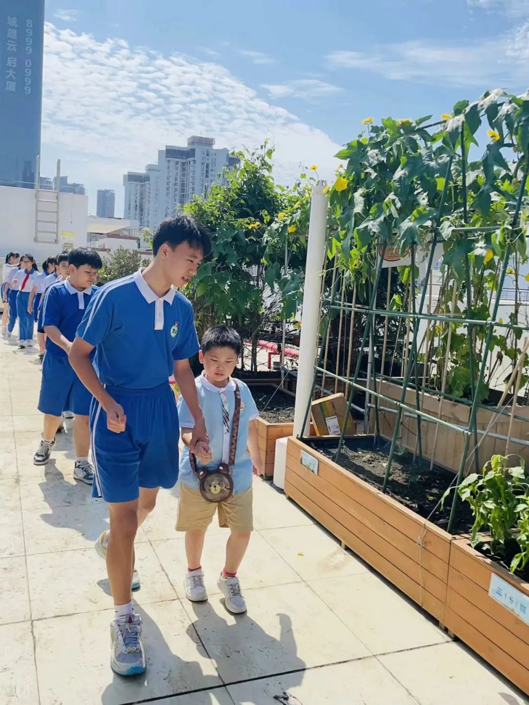 初探小学,衔接成长——杰莘幼儿园参观小学 第44张