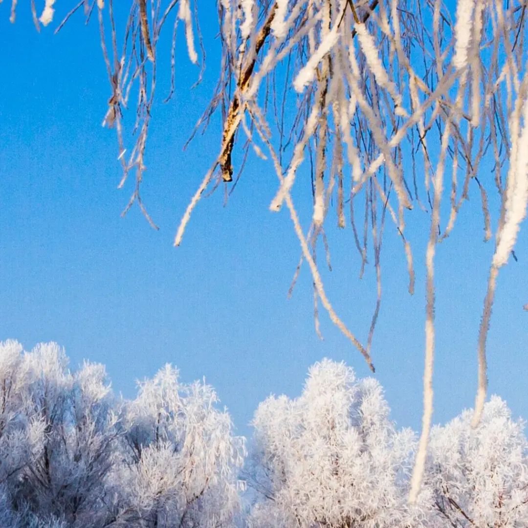 高考倒计时9天,加油! 第68张