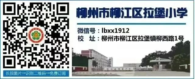 聚焦课标理念 精研复习策略——记柳江区小学语文毕业复习指导会 第22张