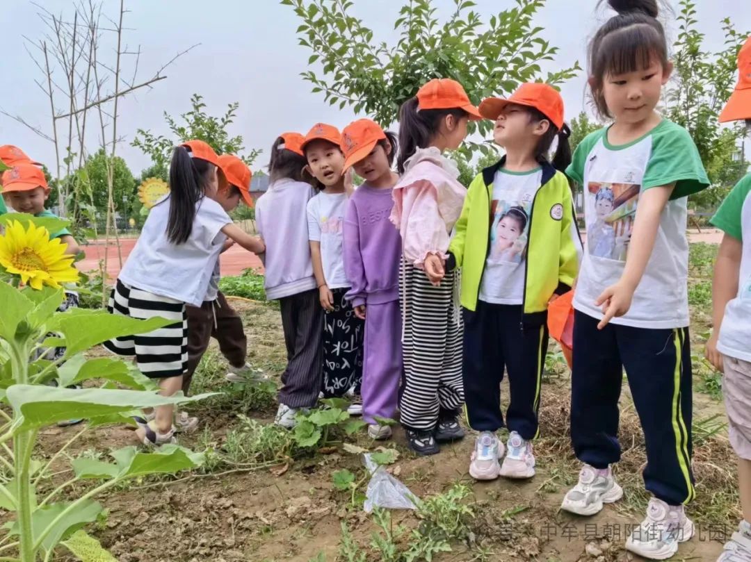 小学“慧”感知,衔接育成长——中牟县朝阳街幼儿园参观小学活动 第56张