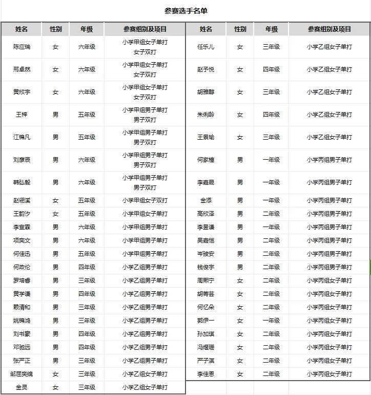 勇“网”直前,追“球”卓越——华阳小学在2024年天河区“中国体育彩票”中小学生运动会网球赛中荣获佳绩 第8张