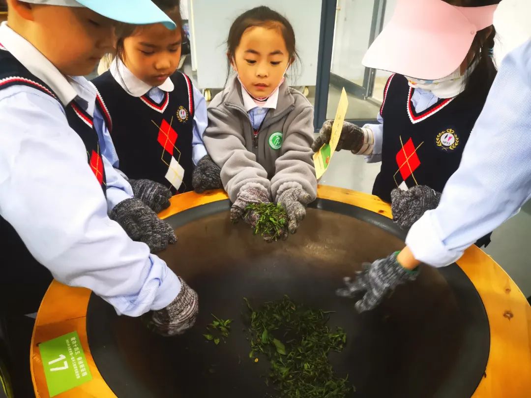 合肥市琥珀小学与安徽农业大学合作共建茶学科普教育基地 第15张