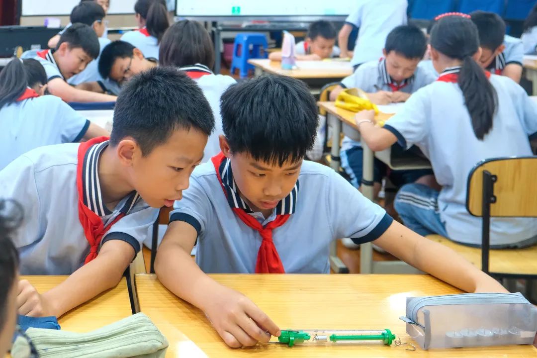 【青教杯】静•美|一窥小学 灵动自然 第59张