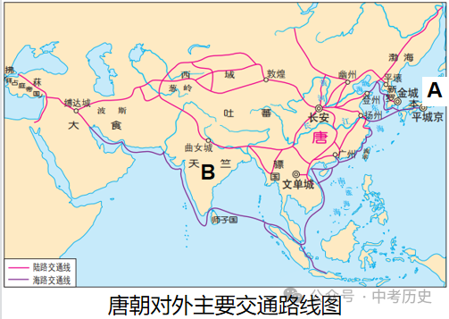 2024年中考历史35大必考专题+专练 第44张