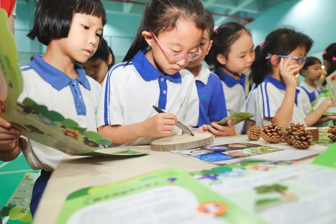 莲花山下好大一节数学课:新莲小学“空中农场的几何美学”课程长卷 第16张