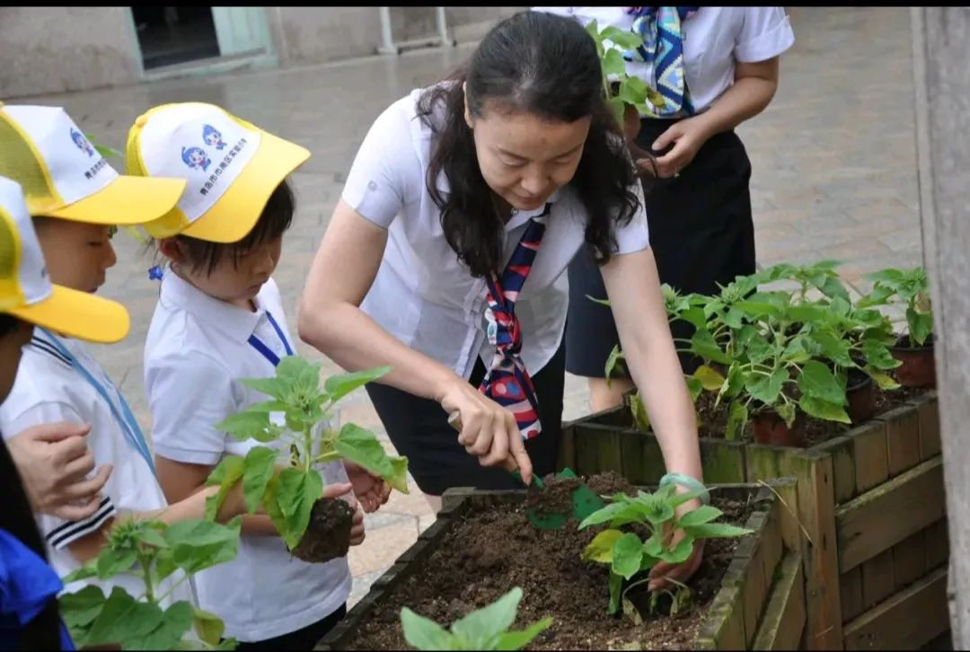 青岛市市南区实验小学教育集团探索传统文化视域下的劳动教育新模式 第17张