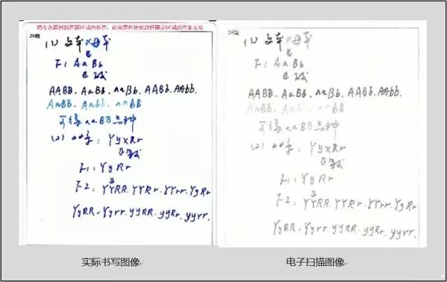 高考冲刺!最后10天,你能做些什么?考前备考攻略及各科答题注意事项! 第31张