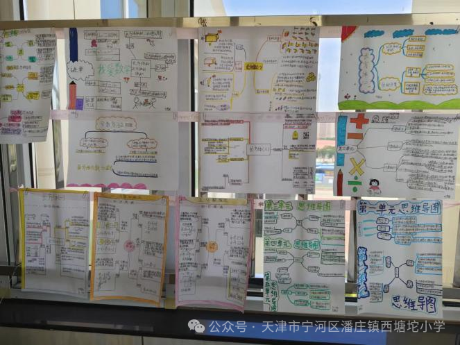 多彩作业,让每个孩子绽放光芒——西塘坨小学优秀作业展示 第14张