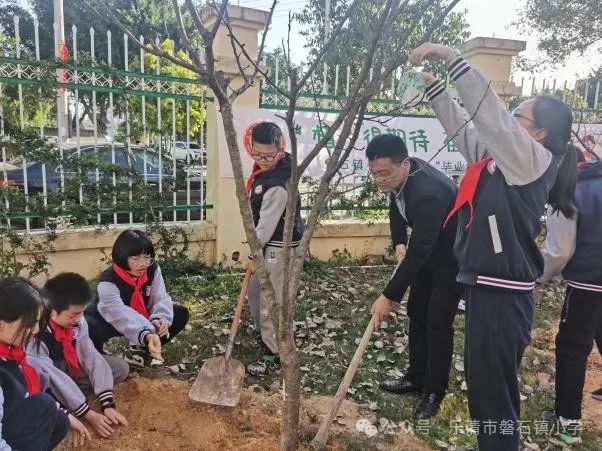 乐清市磐石镇小学2024年招生简章 第10张