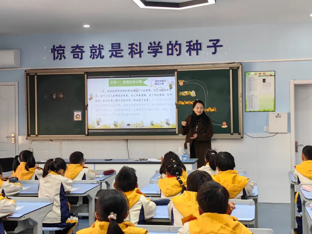 砥砺奋进 遇见更好的自己——城北小学教育集团“13510”青年教师优质课分享活动 第19张