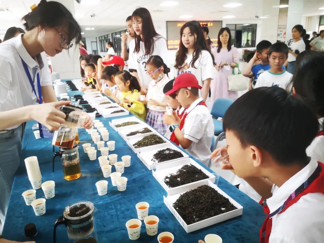 合肥市琥珀小学与安徽农业大学合作共建茶学科普教育基地 第16张