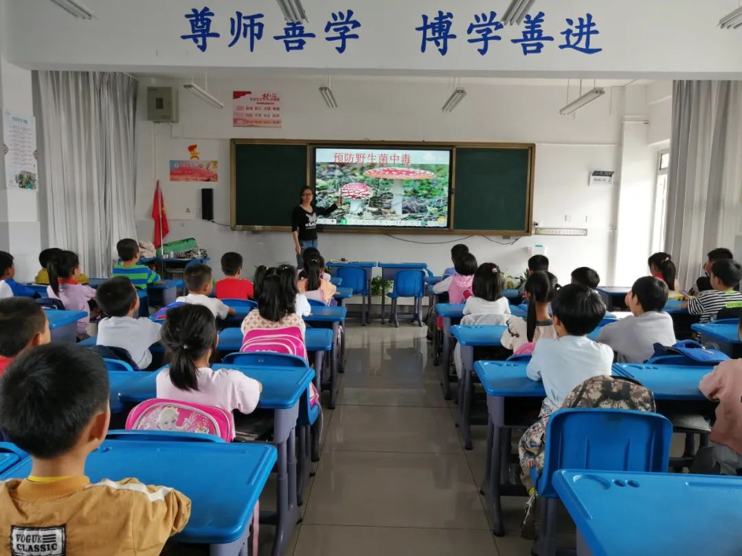 校园安全伴你行|市载道小学:着力上好安全教育“三堂课”  筑牢校园安全防线 第9张