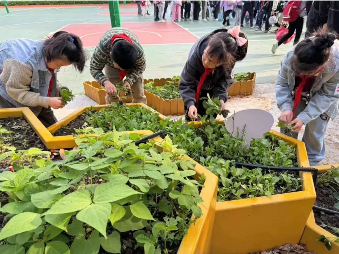 “十”光荏苒,童梦璀璨——古北路小学三年级十岁生日仪式 第30张