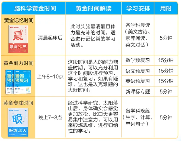 重磅新品|小学暑假28天规划,复习期末重点,衔接新学期,语数英都包含! 第8张