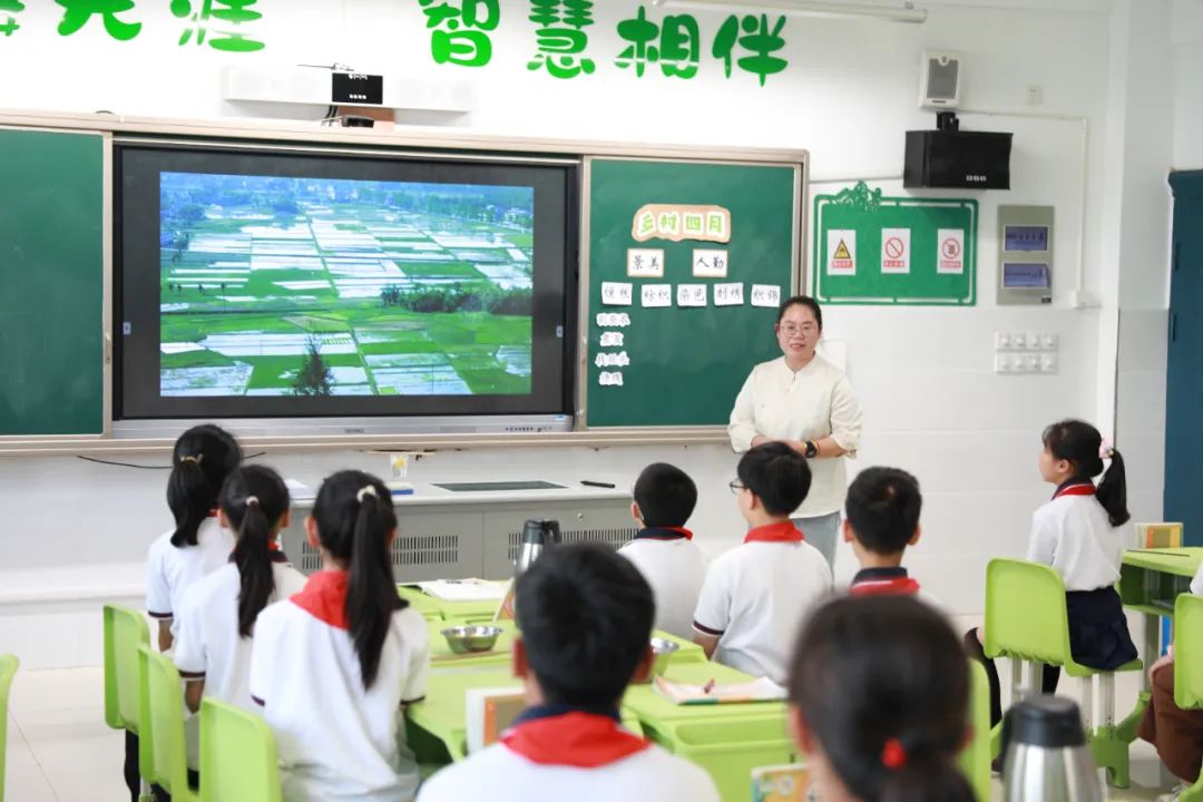 【礼嘉中心小学】嘉•教研|乡村生活场景中的跨学科学习——记省基础教育前瞻性教学改革重大实验项目第21次研讨活动 第12张