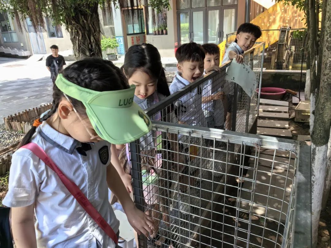 【雅趣童年】“趣”探小学,衔接有度——永嘉县博雅滨江幼儿园大班段参观小学活动 第49张