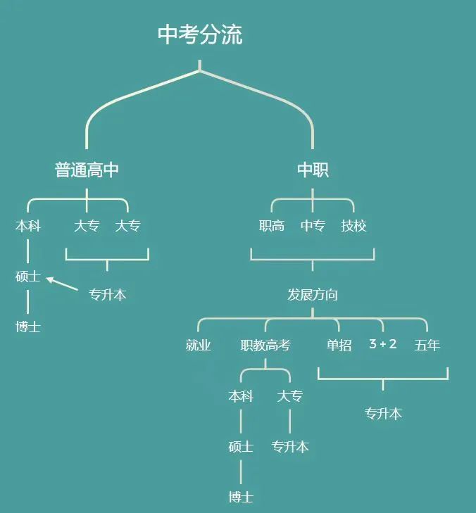 中考之后怎么规划中考分流了解一下 第1张