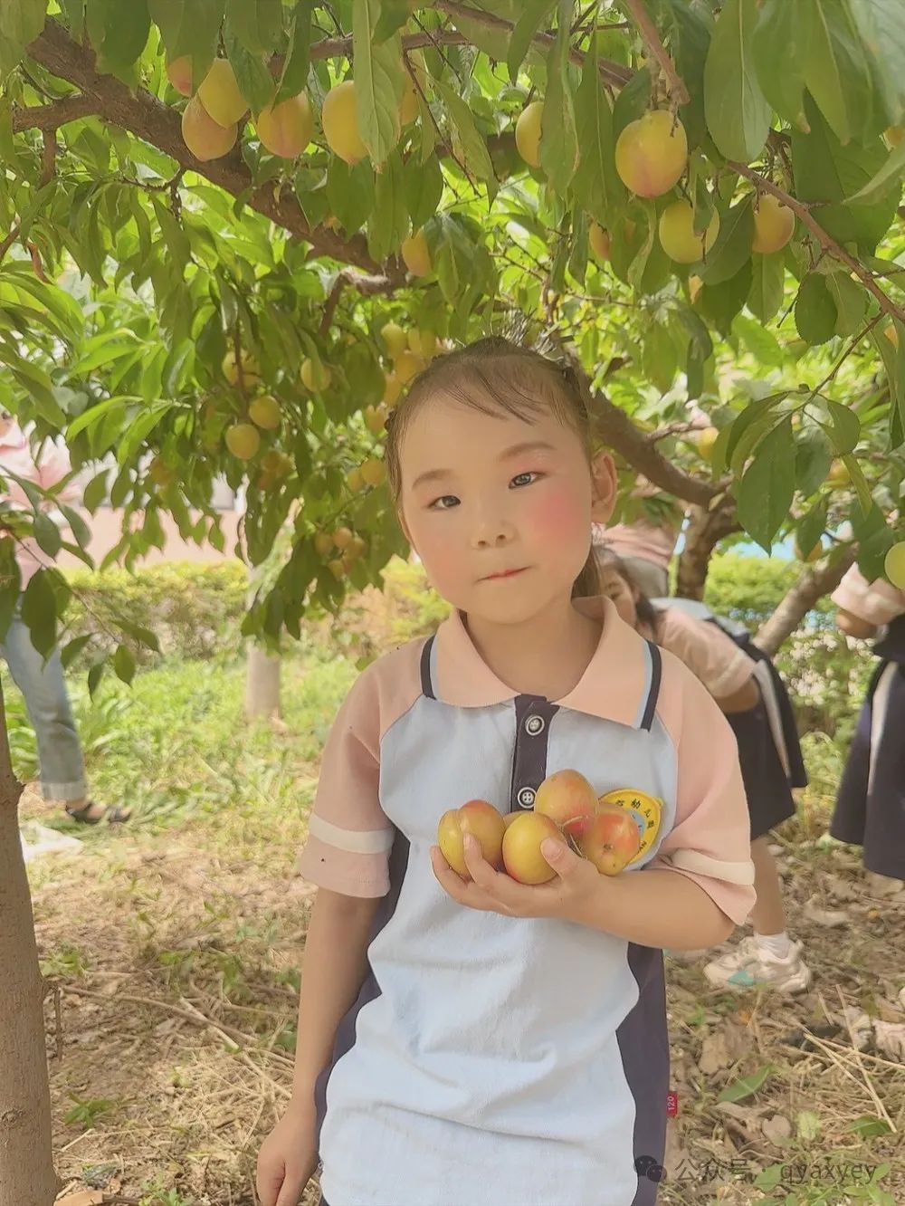 【爱心动态·幼儿园活动】参观小学初体验 幼小衔接零距离——沁阳市爱心幼儿园幼小衔接活动纪实 第17张