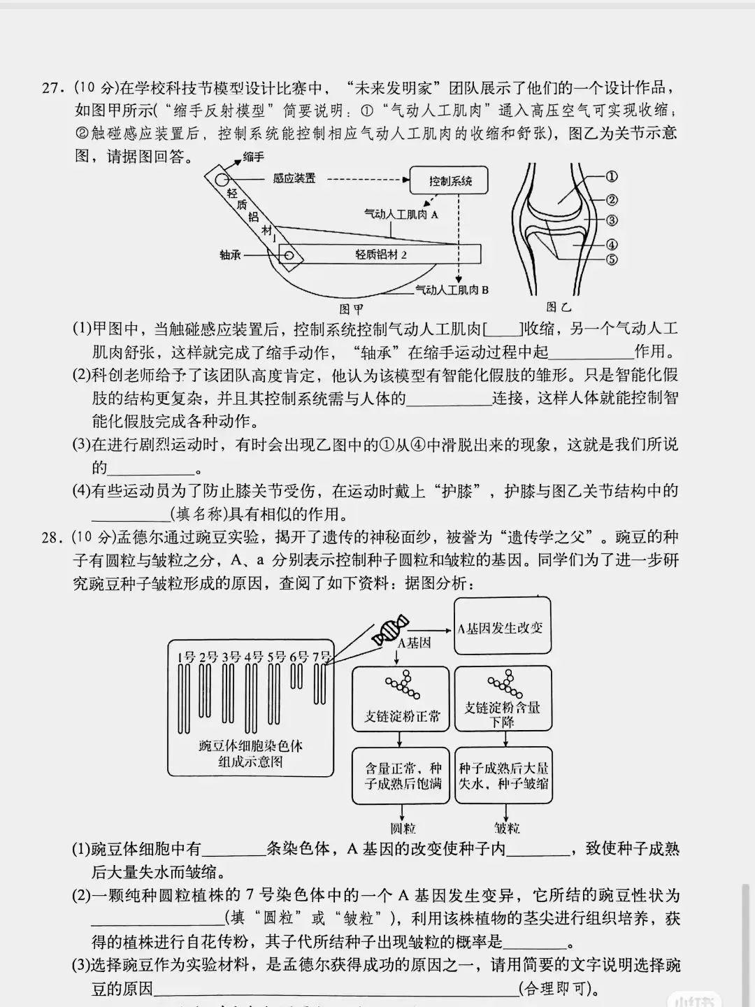 2024年中考生物模拟题(八) 第5张