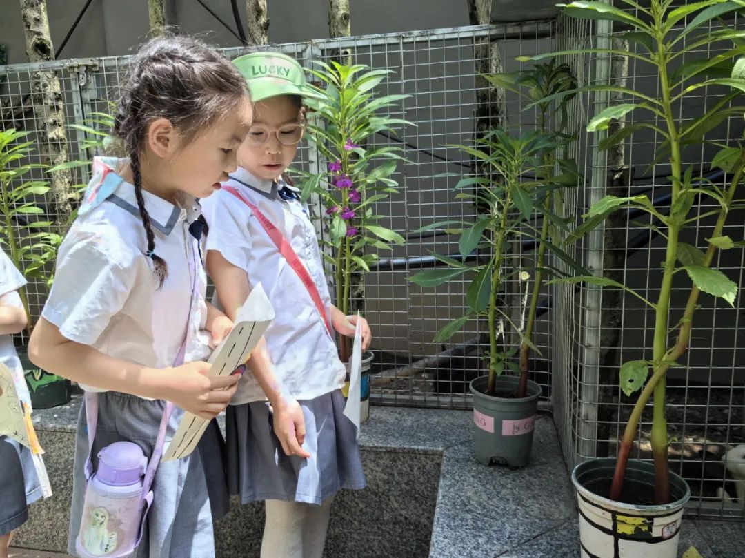 【雅趣童年】“趣”探小学,衔接有度——永嘉县博雅滨江幼儿园大班段参观小学活动 第56张