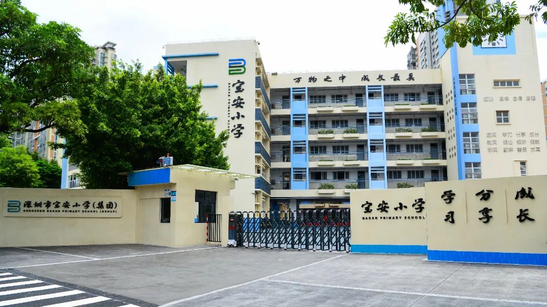 宝安小学(集团)宝安小学商调科学、体育、语文、数学老师啦! 第7张