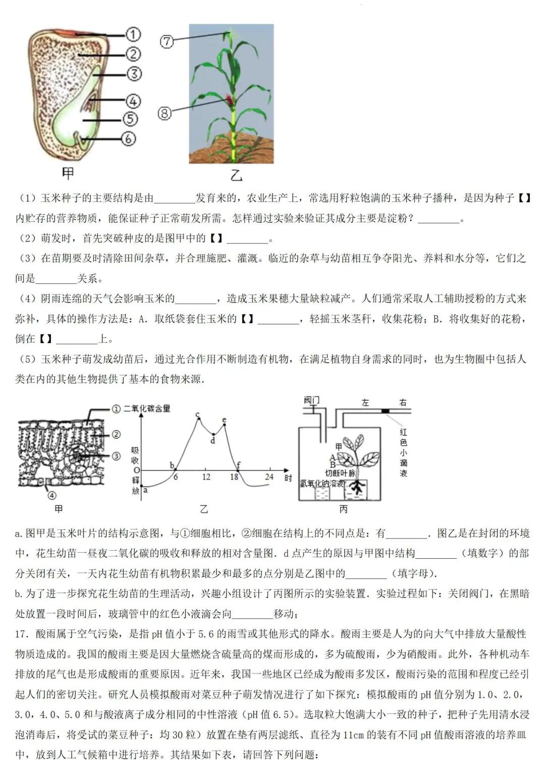 2024年中考生物专题训练:跨学科实践题(含答案) 第11张