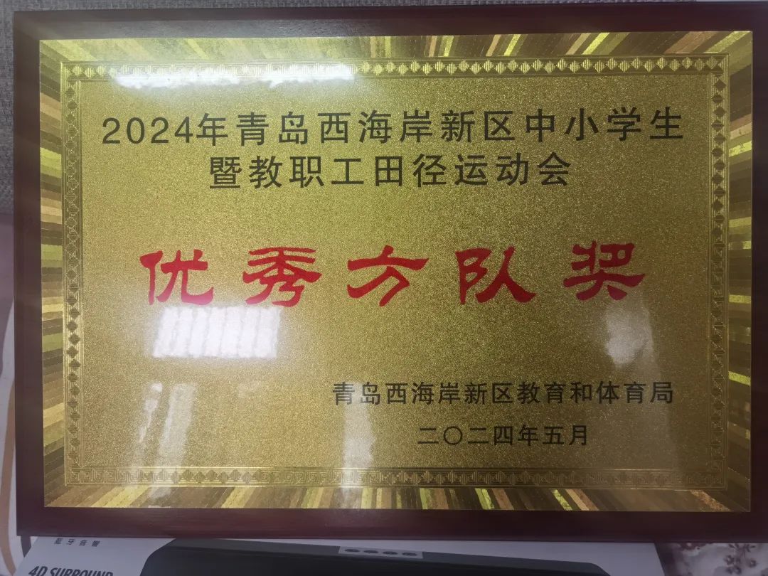 【喜报】崇明岛路小学在新区中小学生暨教职工运动会中喜获佳绩! 第10张