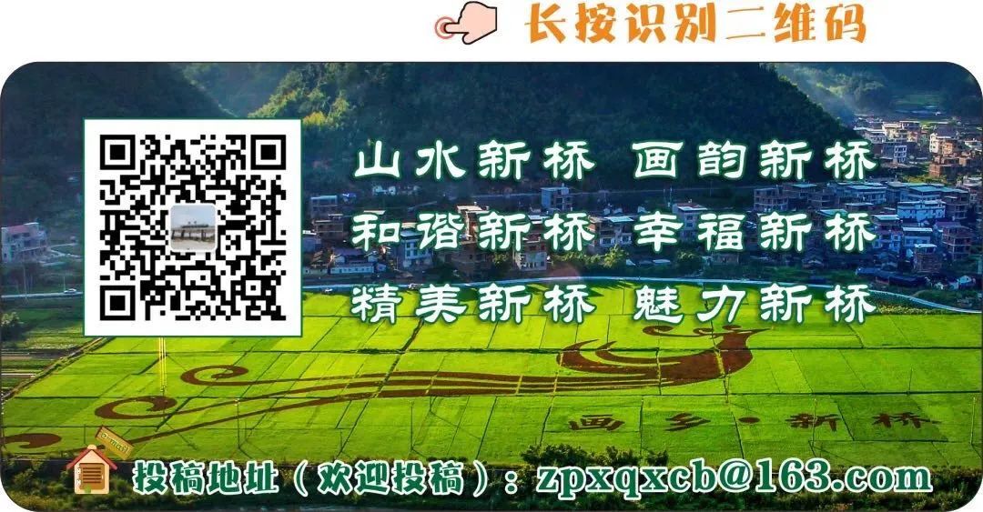 市领导到新桥镇调研中考考点备考情况和乡村文化会客厅建设工作 第4张