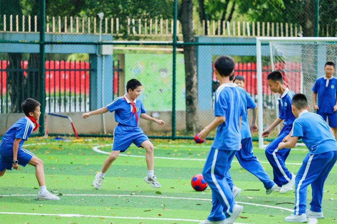 宝安小学(集团)宝安小学商调科学、体育、语文、数学老师啦! 第5张