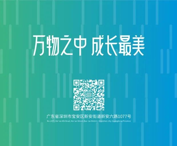 宝安小学(集团)宝安小学商调科学、体育、语文、数学老师啦! 第13张