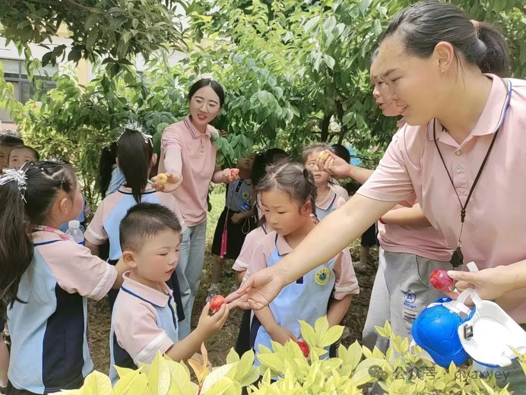 【爱心动态·幼儿园活动】参观小学初体验 幼小衔接零距离——沁阳市爱心幼儿园幼小衔接活动纪实 第18张