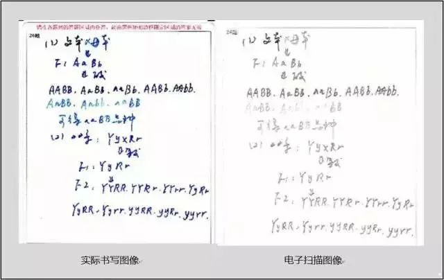 高考试卷被扫描后是啥样?你才知道你丢了多少冤枉分 ⊙ 第5张