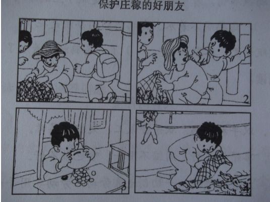 小学二年级语文看图写话范文大全,全面细致 第8张