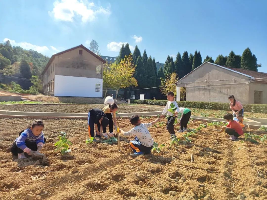 江山市大桥小学2024年一年级招生开始啦! 第31张