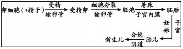 2024年中考生物一轮复习核心考点必背知识清单 第4张