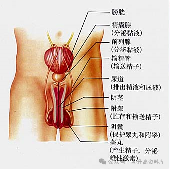 2024年中考生物一轮复习核心考点必背知识清单 第3张