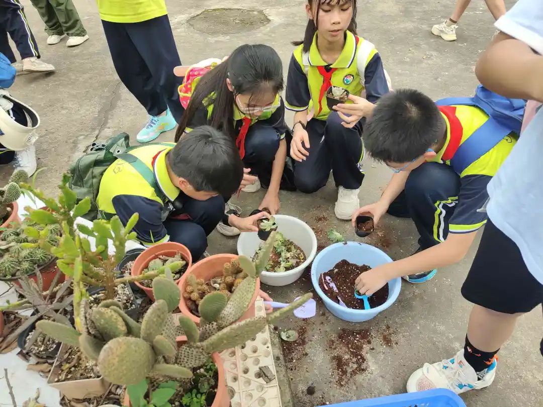 锦兴小学2023—2024学年度第二学期第14周教育周报 第20张