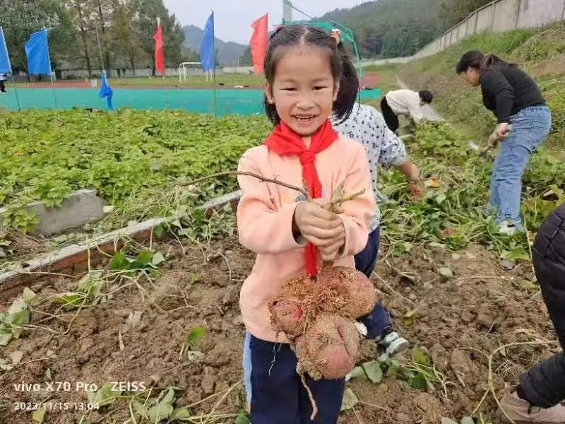 江山市大桥小学2024年一年级招生开始啦! 第33张