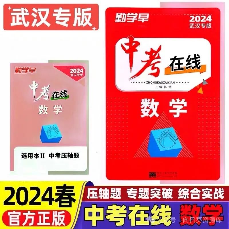 2024《勤学早中考在线数学》(武汉专版) 第4张