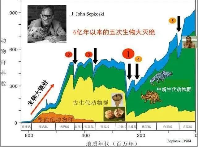 高考专业介绍(090202野生动物与自然保护区管理) 第7张