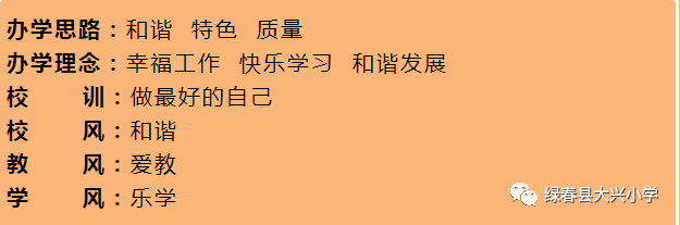 绿春县大兴小学教育集团2024年“红领巾爱祖国”六·一庆祝活动 第54张