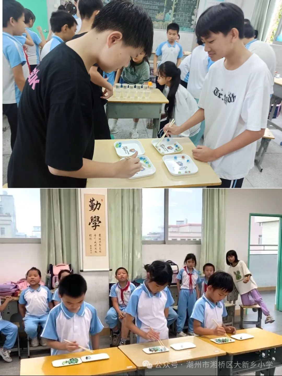 笃行共成长,齐心向未来 —大新乡小学、竹围小学“红领巾爱祖国”庆六一系列活动 第49张