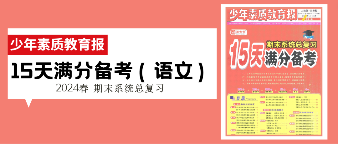 小学 | 2024春《少年素质教育报15天满分备考》3-5年级语文人教版下册,期末备考必备~ 第5张