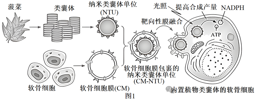 2024高考生物热点预测 第4张