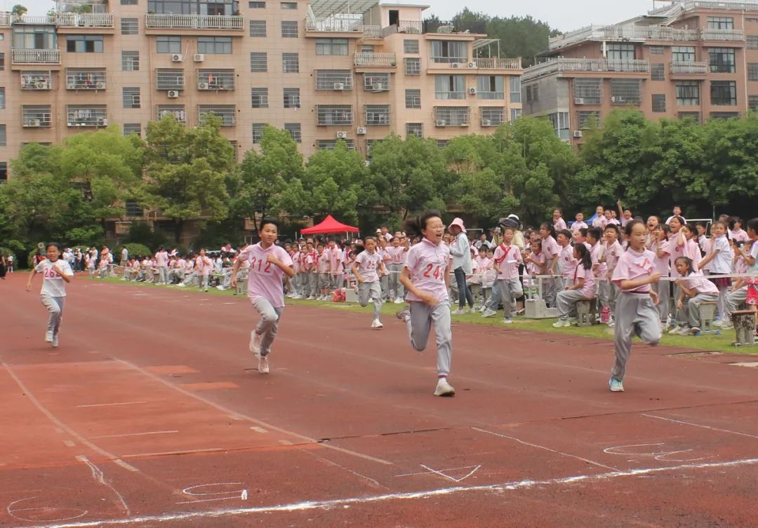 义亭小学举行2024年春季田径运动会 第26张