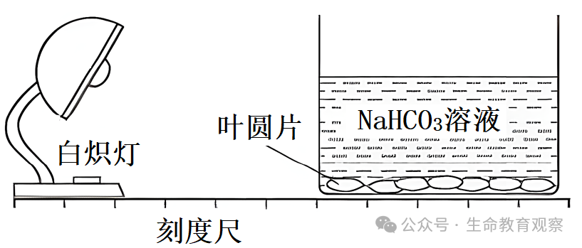 2024高考生物热点预测 第12张