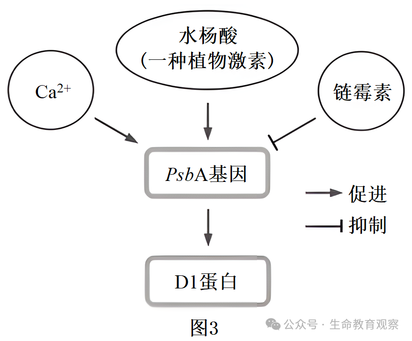 2024高考生物热点预测 第6张